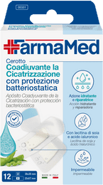 05331 Cerotti Bs Cicatrizzazione 2f