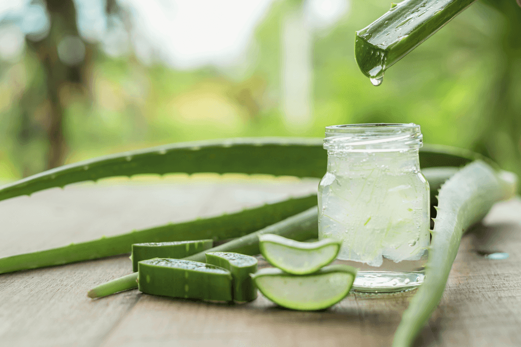 Aloe Vera, Benefici, Gel Aloe Vera, Lenitivo. FarmaMed